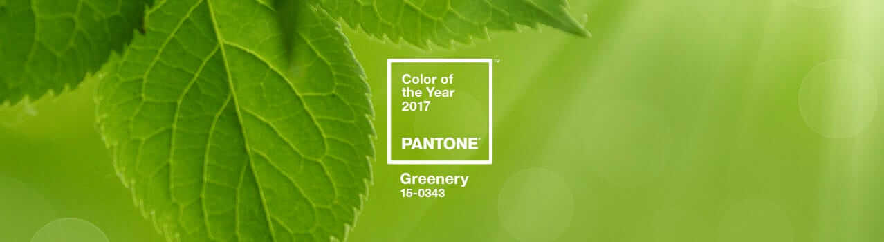 Pantone Color of the Year 2017 -- Greenery 15-0343!
